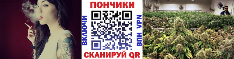 закладки  Моздок  Конопля планчик 